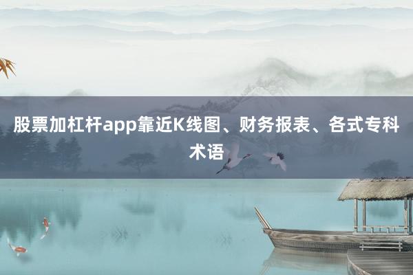 股票加杠杆app靠近K线图、财务报表、各式专科术语