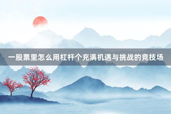 一股票里怎么用杠杆个充满机遇与挑战的竞技场