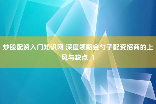 炒股配资入门知识网 深度领略金勺子配资招商的上风与缺点_1